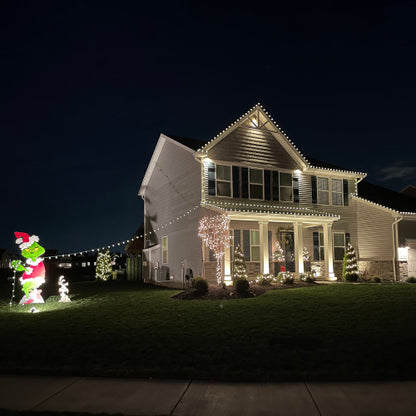 100-Count Clear Mini Christmas Light Set, 20.25ft Green Wire