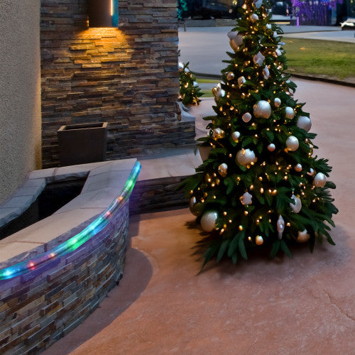 100ft Multi-Color Christmas Rope Lights