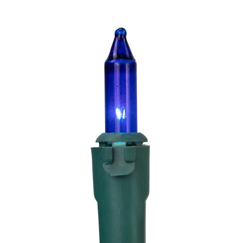 100-Count Blue and Clear Mini Christmas Light Set, 20 ft Green Wire