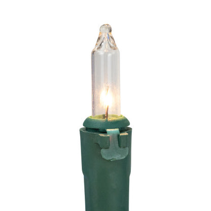 100-Count Blue and Clear Mini Christmas Light Set, 20 ft Green Wire