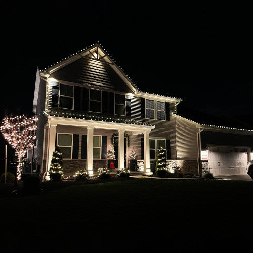 100-Count Clear Mini Christmas Light Set, 20.25ft Green Wire