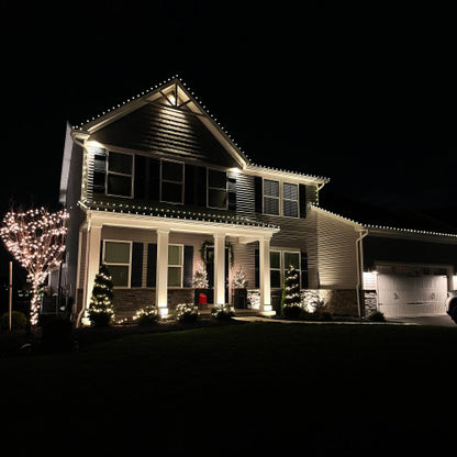 100-Count Clear Mini Christmas Light Set, 20.25ft Green Wire