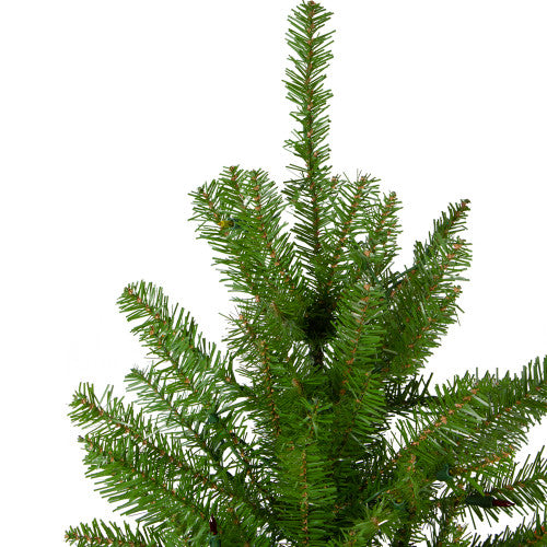 12' Northern Pine Full Artificial Christmas Tree - Unlit