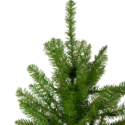 12' Northern Pine Full Artificial Christmas Tree - Unlit